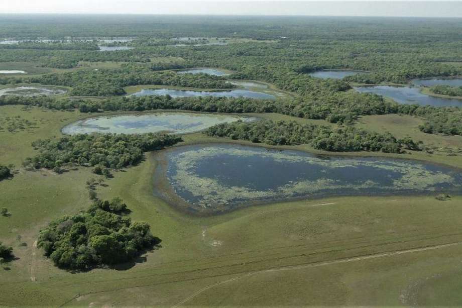 Pantanal está en un territorio compartido por Brasil, Paraguay y Bolivia.