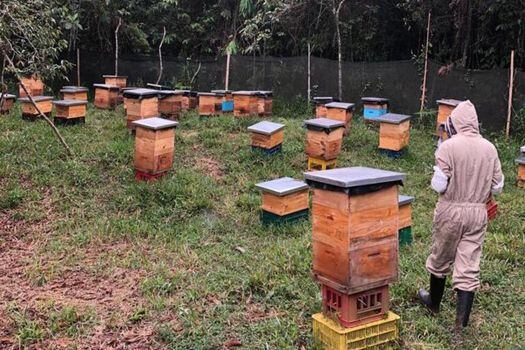 Los apicultores del corregimiento de Villacarmelo han sacado dos cosechas de miel en 2021.