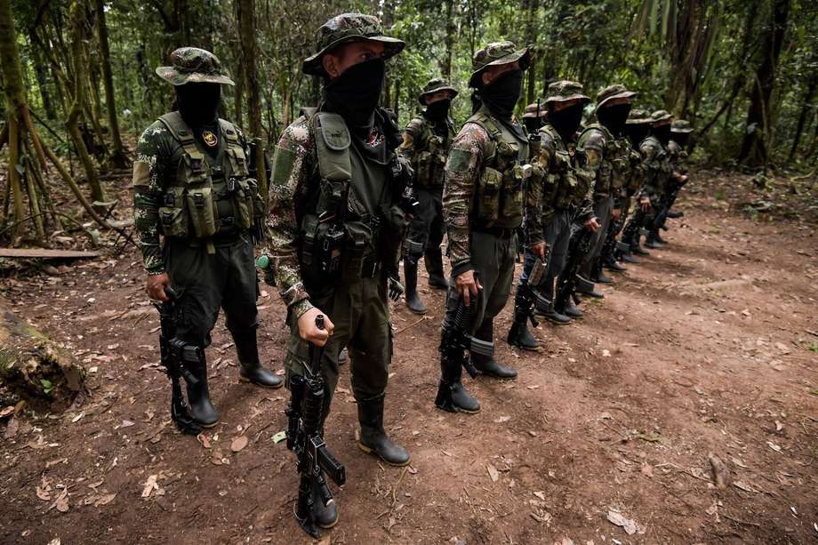 Los departamentos en los que hacen presencia los Comandos de Frontera son Caquetá, Putumayo, Amazonas, Nariño y Cauca.