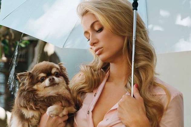 “La huella de tus patas nunca se borrará”: Paris Hilton lamenta la muerte de su mascota