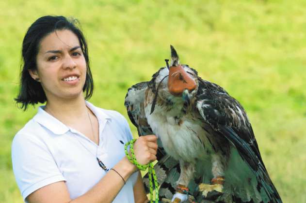 La colombiana que busca proteger al águila real de montaña