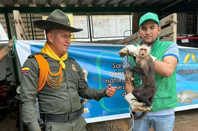 Rescatan 680 animales silvestres destinados a ser traficados en Sucre