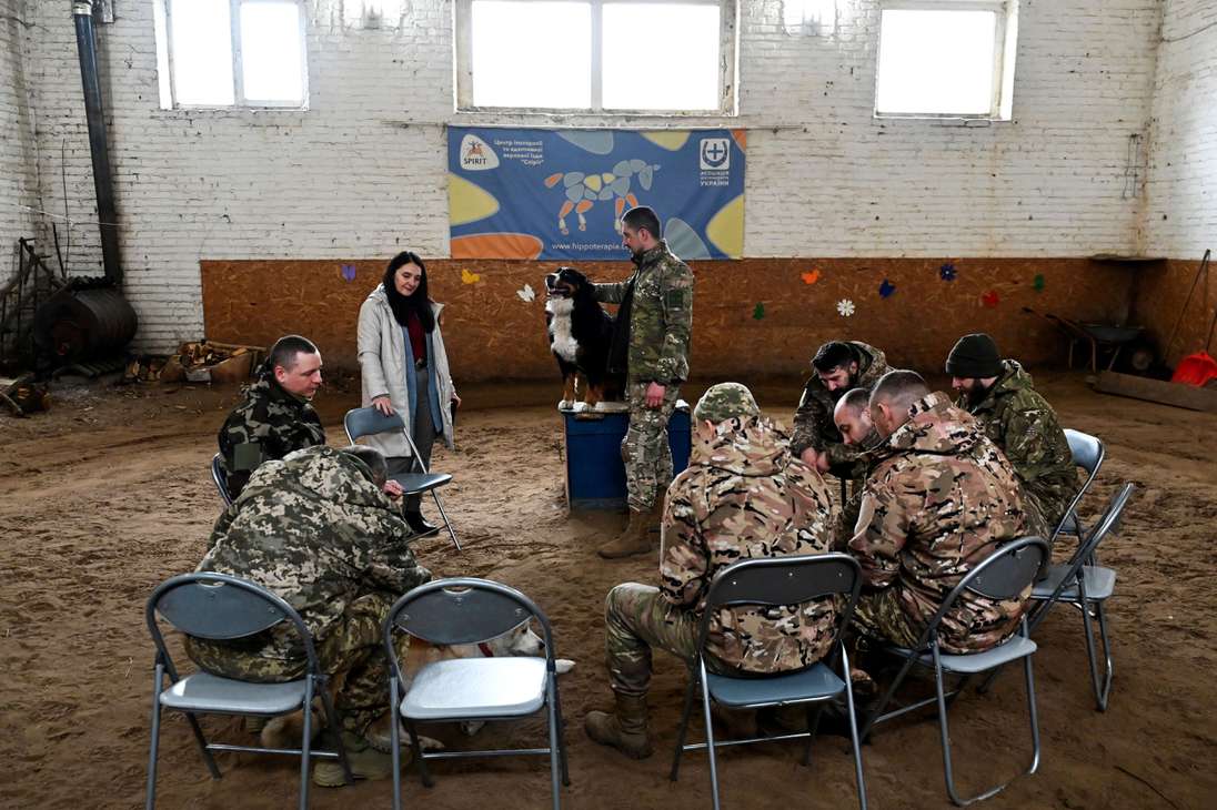 Cuando estalló la guerra, esta ONG comenzó a ofrecer hipoterapia a los soldados en el frente mediante un programa llamado "Espíritu Guerrero" en el hipódromo de Kiev.