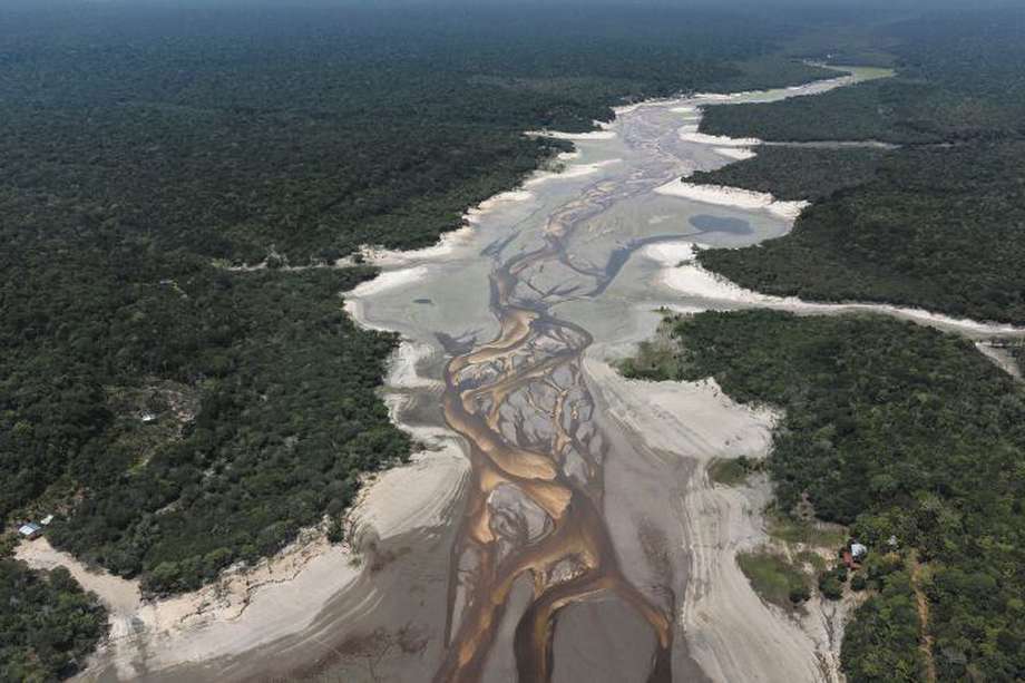 La deforestación de la Amazonia tiene implicaciones en lo que sucede en Chingaza. 