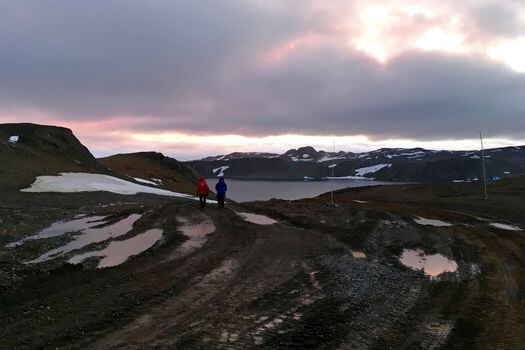  Años atrás, una gruesa capa de hielo cubría el glaciar Collins en la Isla Rey Jorge en la Antártida. Ahora, como se observa en la foto, la roca quedó expuesta. / AFP