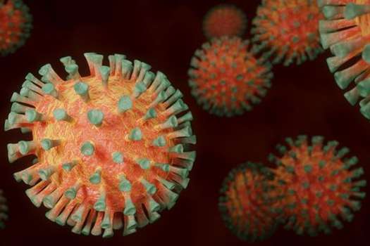 Los primeros casos de este virus se registraron en el sur de África.