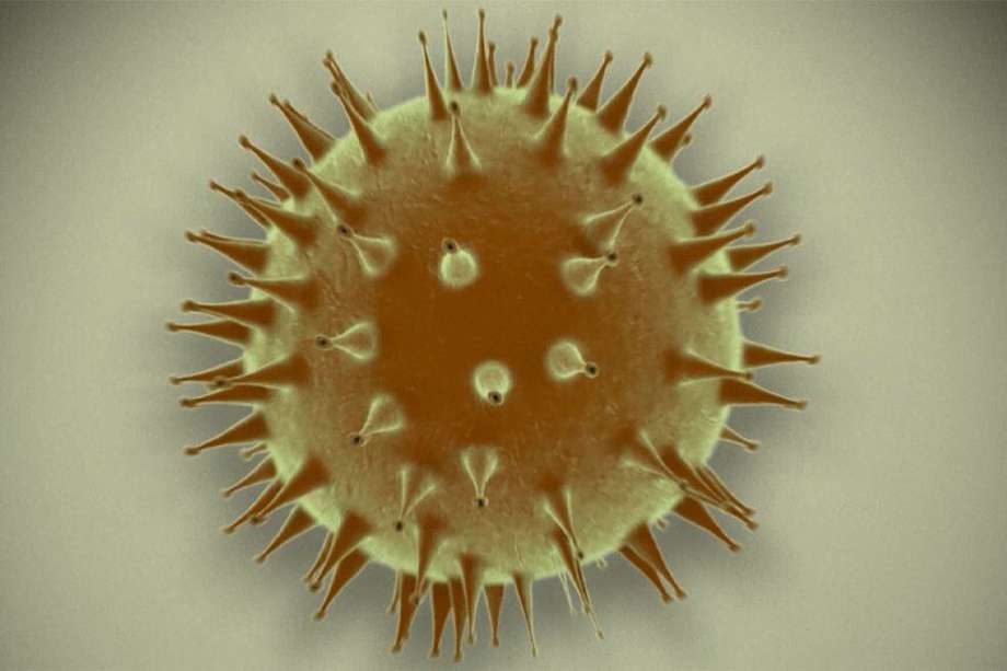El covid-19 demostró lo fundamental que puede ser  la genómica de patógenos en la respuesta a las amenazas pandémicas. 