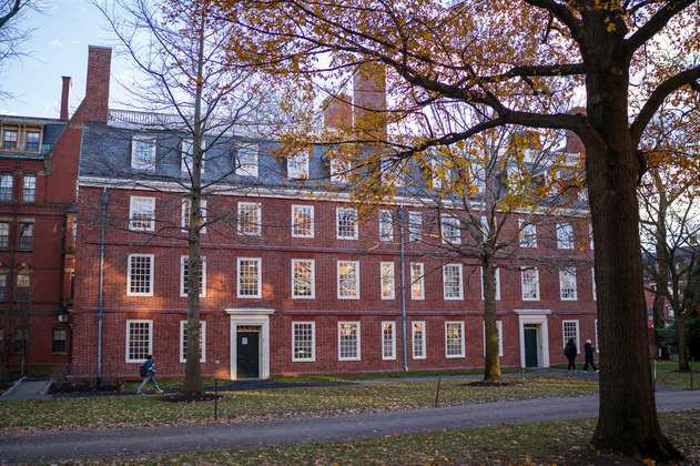 Universidad de Harvard lanzó más de 100 cursos gratuitos: Cómo acceder paso a paso