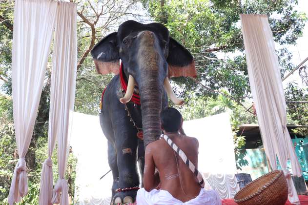 (Fotos) Templo hindú usa elefante robótico para evitar crueldad con los animales
