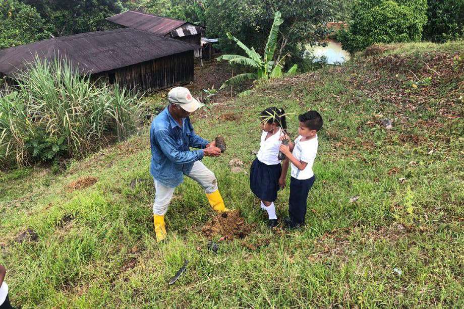 En 2014, William Silva y 10 familias de exmineros de Puerto Guzmán dejaron la minería de oro por el cultivo de frutos amazónicos.