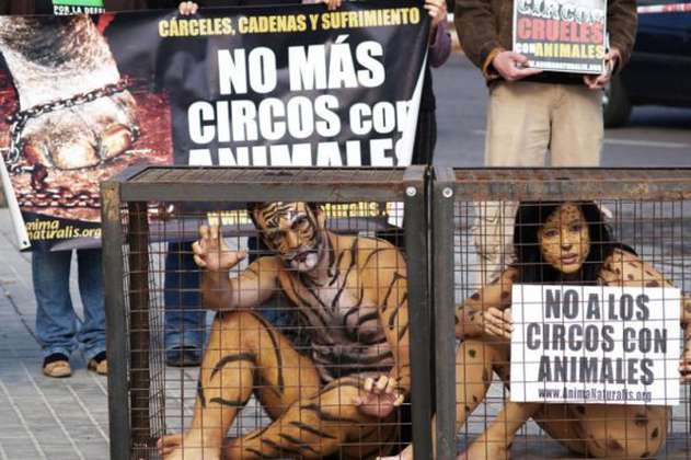 Protestan en Nicaragua contra la utilización de animales en los circos