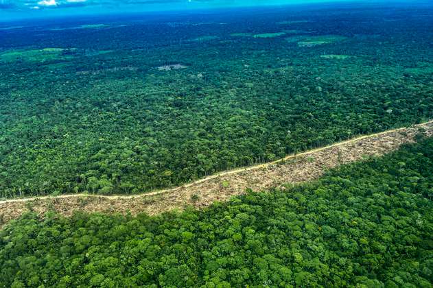 Vía ilegal que atraviesa resguardo en la Amazonia no ha sido inhabilitada