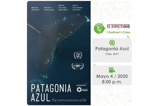 “Patagonia Azul, la interconexión de la vida” es un documental de Daniel Casado.  / Festiver