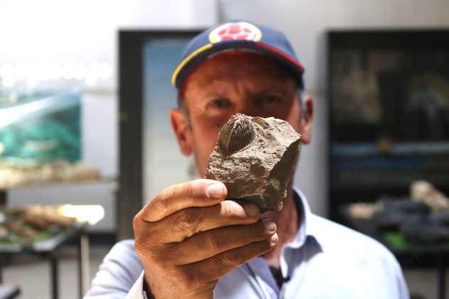 El carpintero que cuida los fósiles de Floresta, lugar que Colombia postuló ante la Unesco