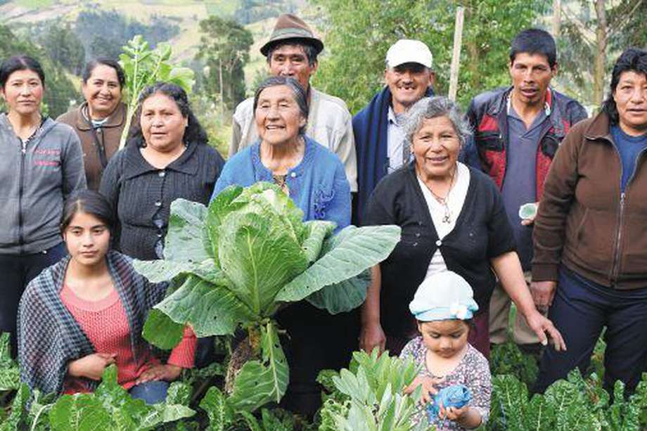 El trabajo por el desarrollo rural en Colombia