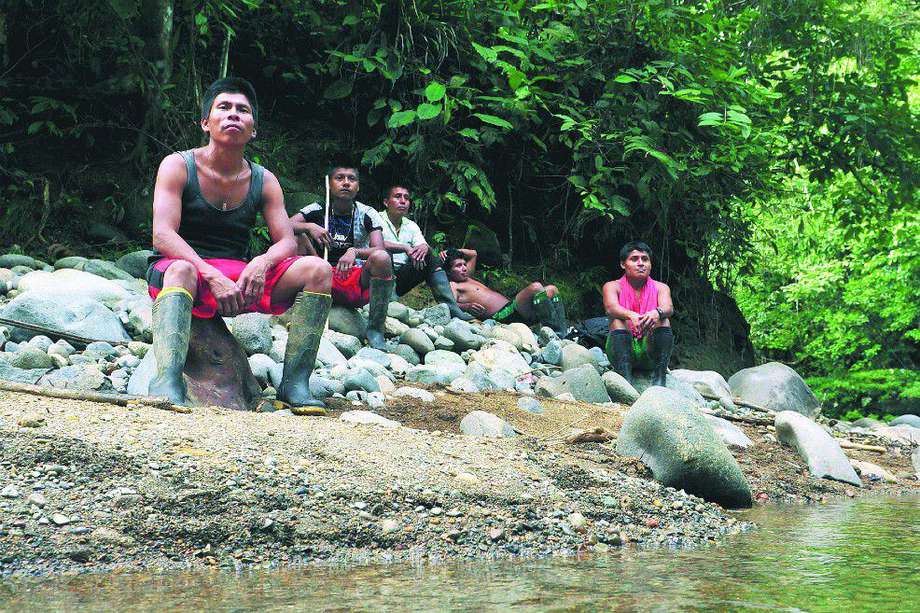 El 58,5 % de Colombia es bosque y, según el DANE, el 48,3 % de esos bosques pertenece a los indígenas.