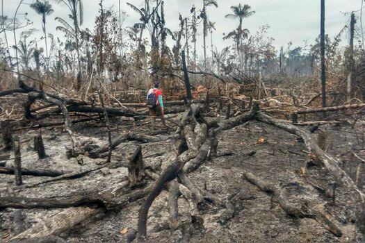 Los incendios forestales del Guaviare, que afectaron cerca de 20.000 hectáreas en los tres primeros meses de 2018, alertaron a las autoridades. La gravedad de la situación llevó a la creación de un “centro de operaciones” para coordinar al Ejército, la Fiscalía y las autoridades ambientales.  / Ministerio de Ambiente de Colombia