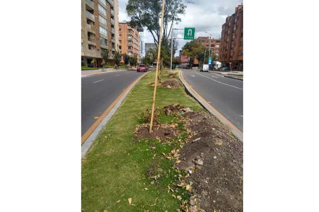 Vandalizan seis árboles recién plantados en Chapinero, norte de Bogotá