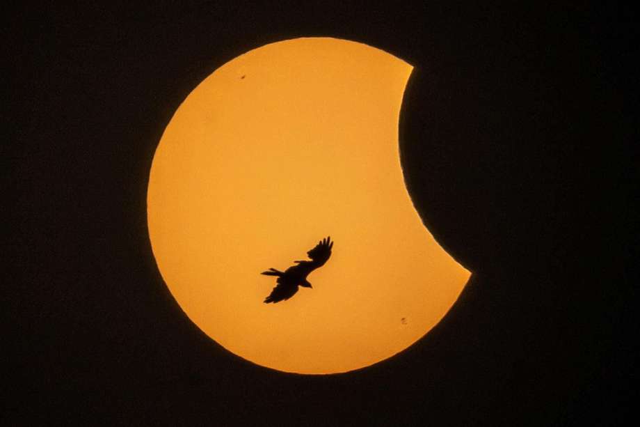 De acuerdo con National Geographic, "la sombra tendrá una cobertura de entre 80 y 280 kilómetros, cuando la Luna alcance una alineación perfecta entre la Tierra y el Sol".