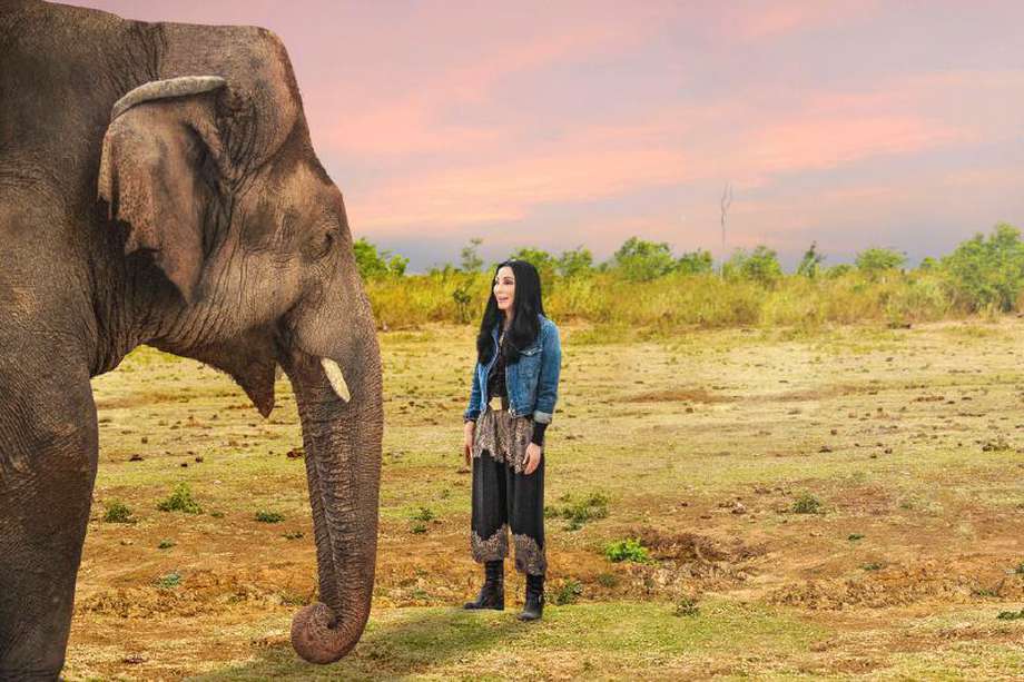 La estadounidense Cher creó la campaña #FreeThe Wild, que recibió apoyo en todo el mundo.  / Cortesía: Smithsonian Channel