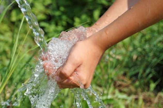 Proyecto busca descontaminar agua de zona rural de Chapinero con cáscaras de mangostino