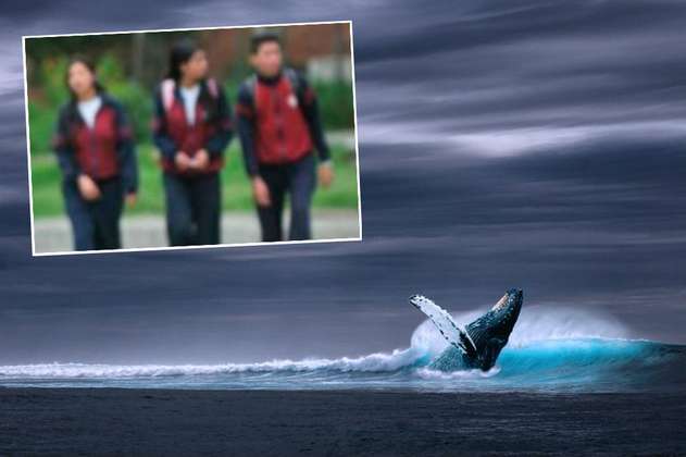 Dos adolescentes se habrían suicidado en Bogotá por juego de la ballena azul