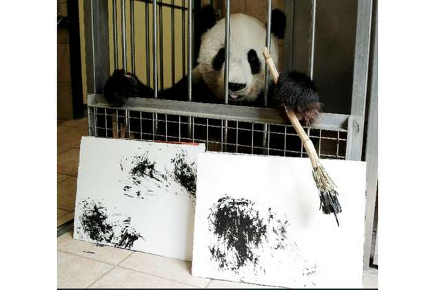 Yang Yang, la osa panda que realiza obras de arte 