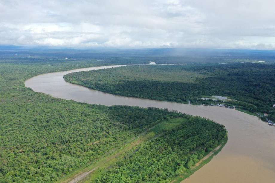 Cocomacia, el consejo comunitario más grande de Colombia, cuenta con más de 720.000 hectáreas ubicadas en la parte media del río Atrato.