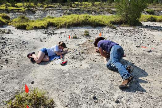 Lindsey Stallworth, de 16 años, y Andrew Gentry, biólogo evolutivo y profesor de la Escuela de Matemáticas y Ciencias de Alabama, encontraron los restos de un animal carnívoro que habitó en la Tierra hace más de 34 millones de años.