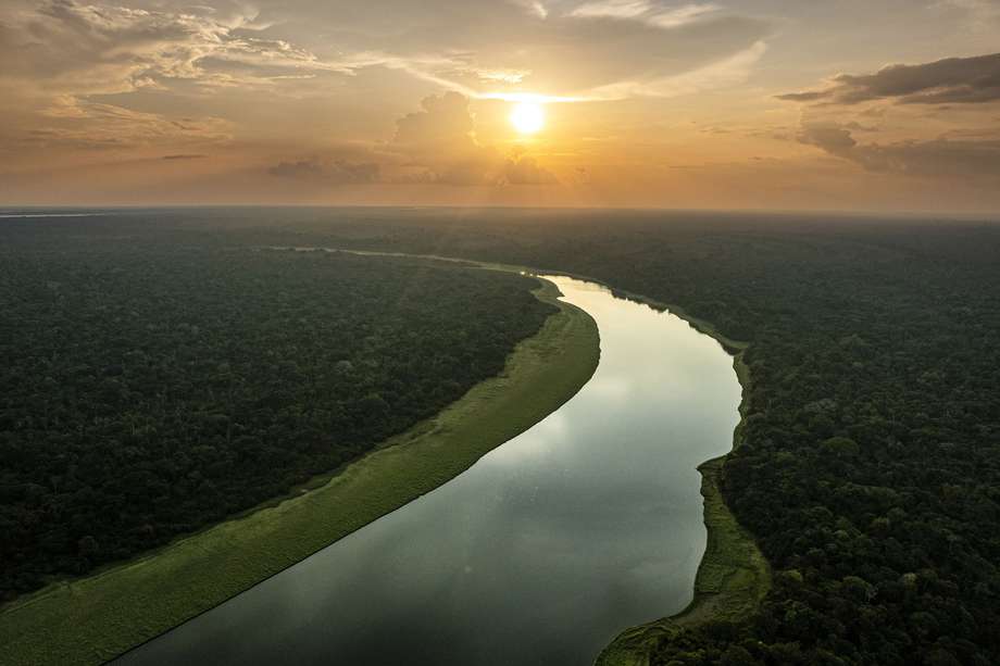 La sentencia busca que el Estado se haga responsable de la conservación y protección del ecosistema amazónico.