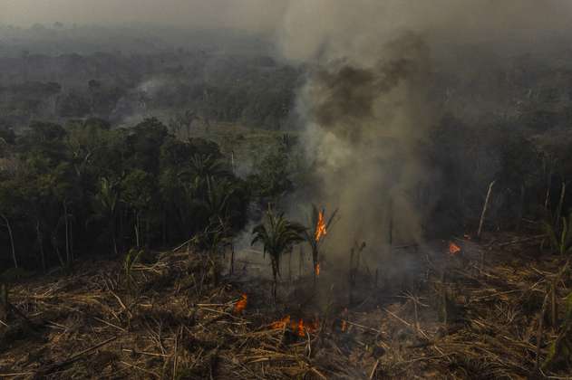 Por fenómeno de El Niño, ocho países anuncian acuerdo para proteger la Amazonía