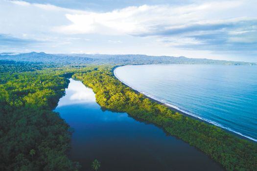 El Golfo de Tribugá, ubicado en el Chocó, es de los pocos ecosistemas en el mundo que está en equilibrio. La conexión que hay entre los ríos, los manglares, el océano y la costa, también se da entre el ambiente natural y las comunidades locales que habitan la zona.