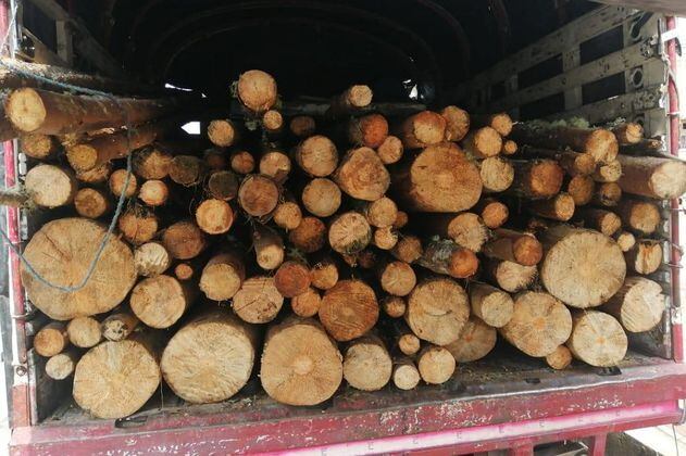 Decomisan cargamento ilegal de madera en la vía La Calera