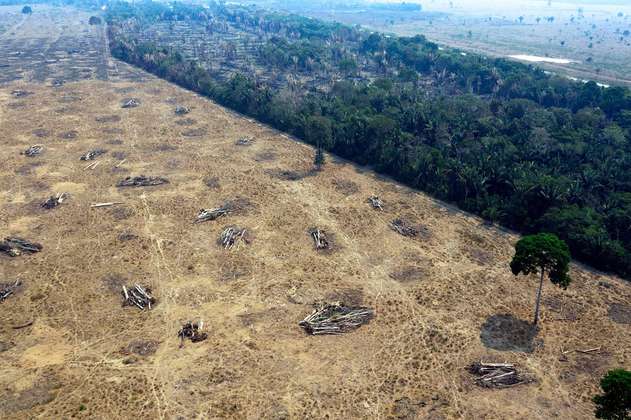 La deforestación de la Amazonía brasileña aumentó un 24% en el primer semestre de 2020