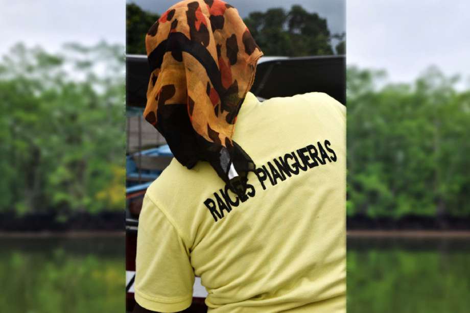 La Asociación de Mujeres Piangüeras Raíces del Manglar son las encargadas del cuidado y manejo del ecosistema en los sitios del manglar donde se lleva a cabo la extracción de la piangua.