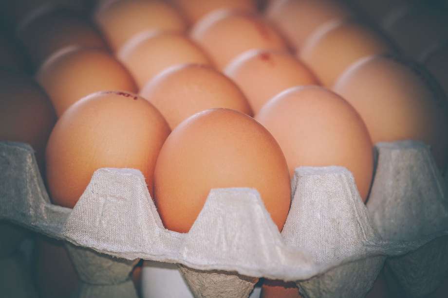 Por departamentos, Valle del Cauca es el principal productor de huevos en el país. Imagen de referencia.