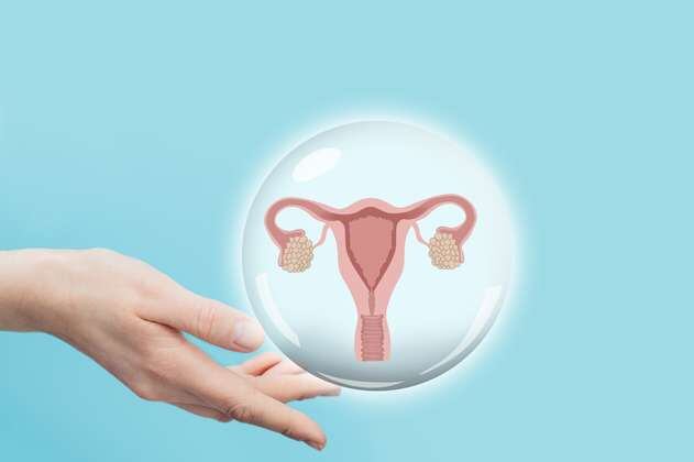 Ley Endometriosis aún no entra en vigencia por falta de sanción presidencial