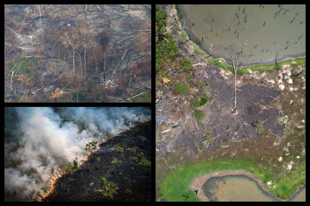 De verde a negro: estas son las impactantes imágenes de los incendios en la Amazonia