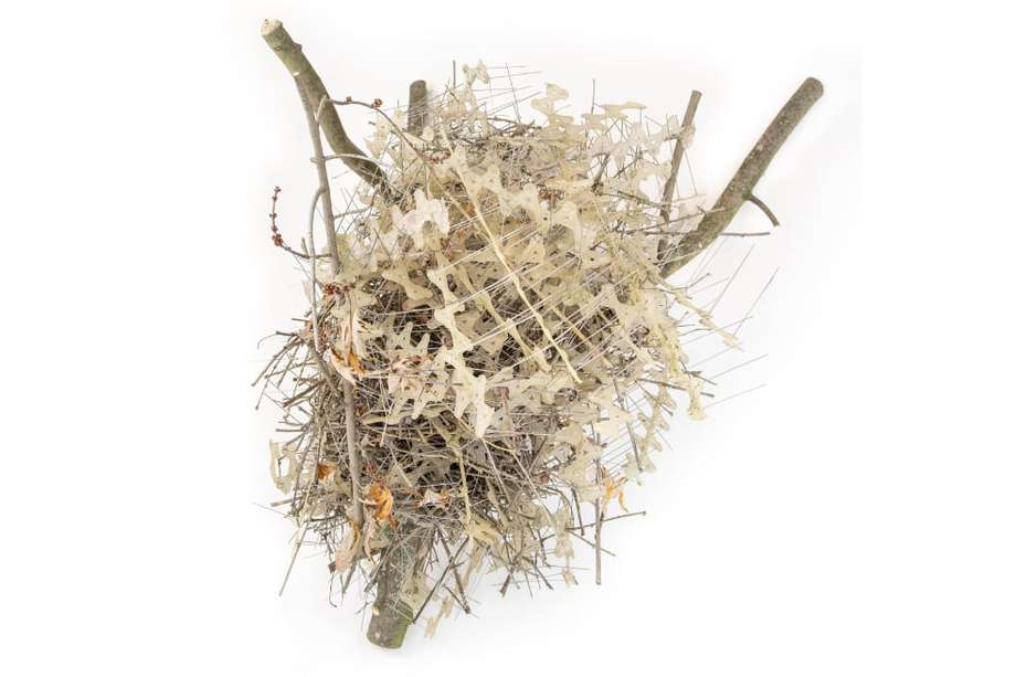 Uno de los nidos hecho con "pinchos antipájaros".