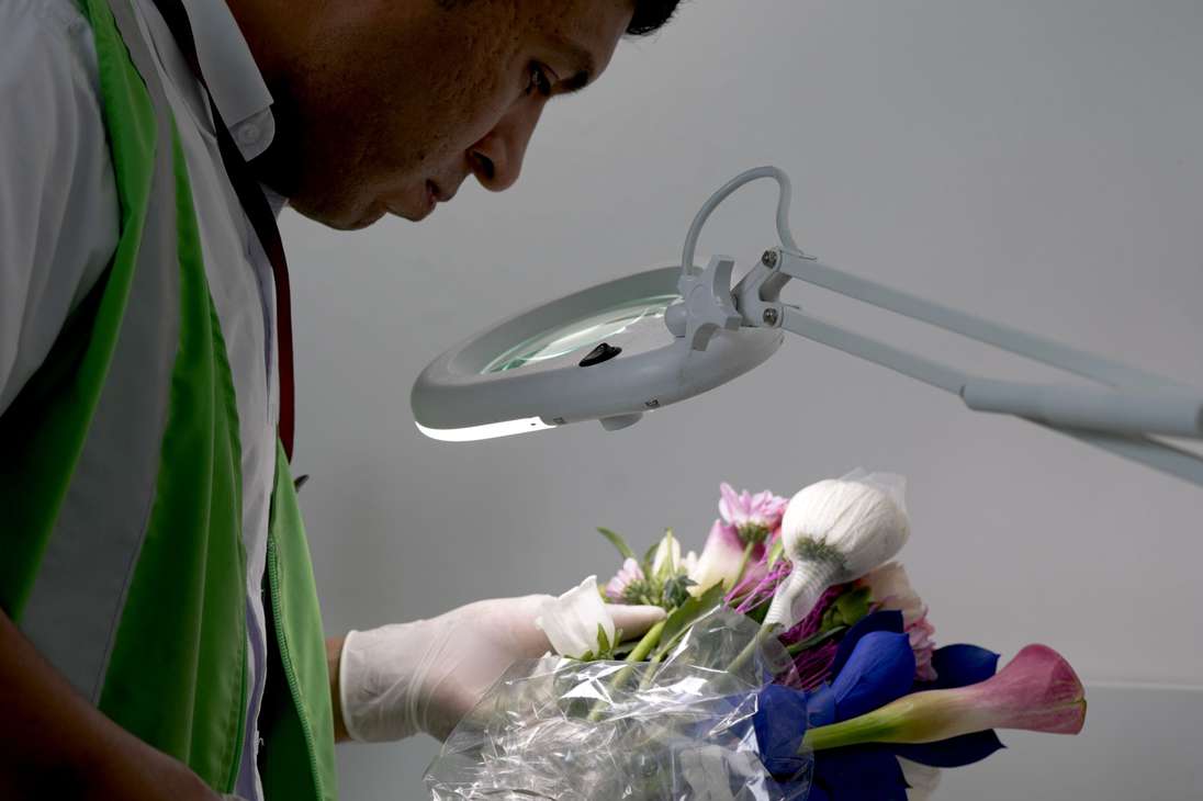 Control de flores colombianas en Estados unidos