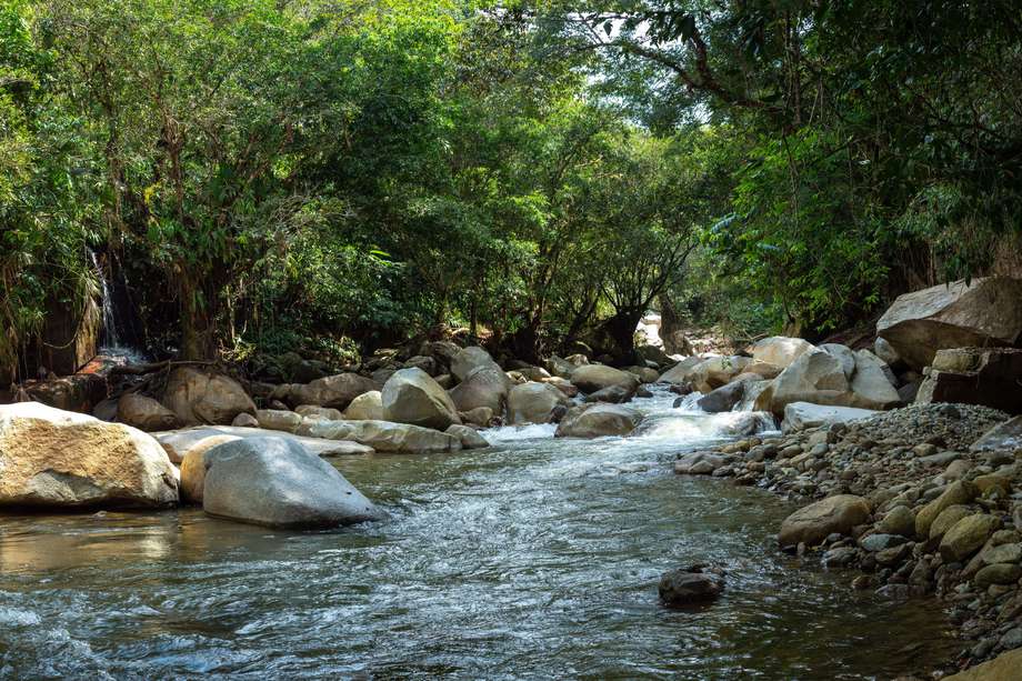 El diálogo en Medellín resaltó que Antioquia ha fortalecido su gobernanza del agua. /Archivo.