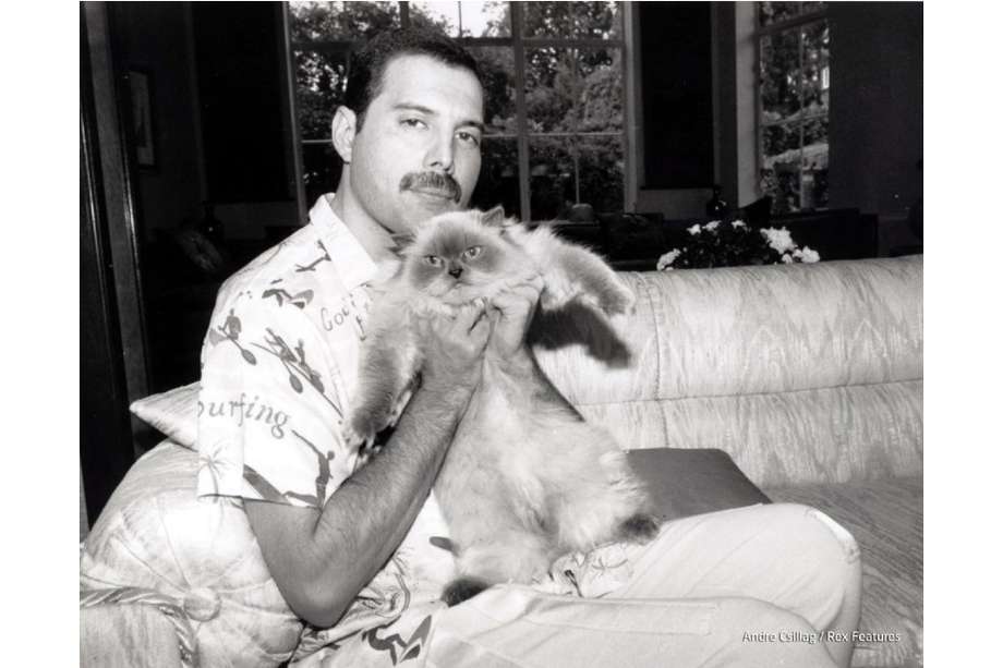 Freddie Mercury murió el 24 de noviembre de 1991.