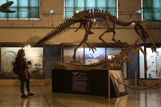 Las garras de este Megaraptor carnívoro miden 40 centímetros.