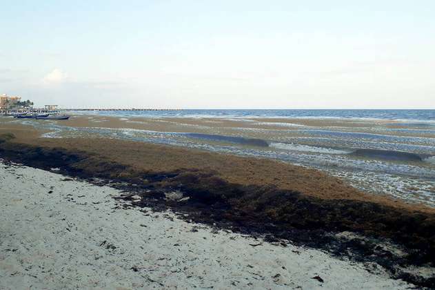 Cambio climático amenaza a más de la mitad de las playas de arena del planeta