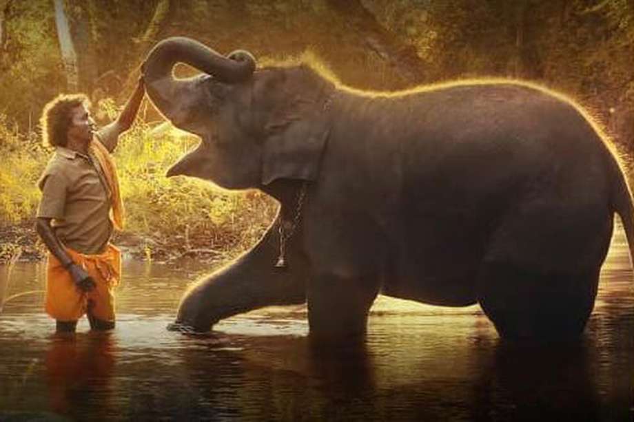 “The Elephant Whisperers” es la primera producción india en ganar el Óscar al Mejor Cortometraje Documental.