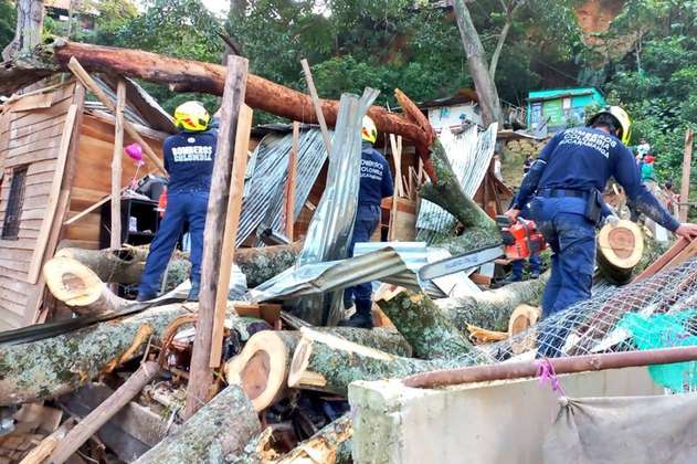 Identifican a víctimas tras caída de árbol en Villas de Girardot, en Bucaramanga