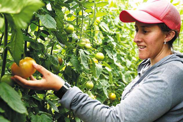 Miniagricultura anuncia la primera feria de agricultura campesina en Corferias