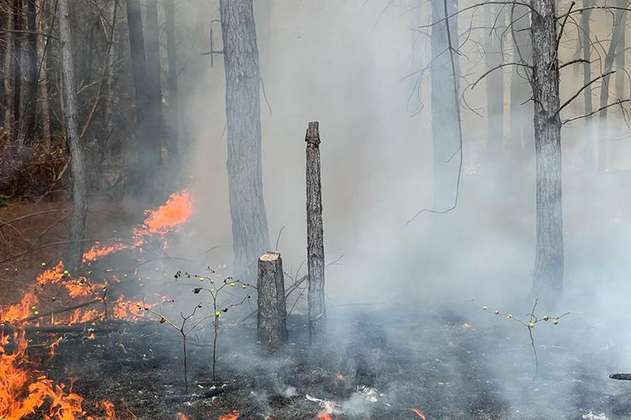 Invasores incendiaron bosque de la hacienda Japio, que fue desalojada en el Cauca