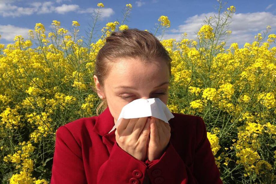 Conozca los remedios naturales para prevenir alergias