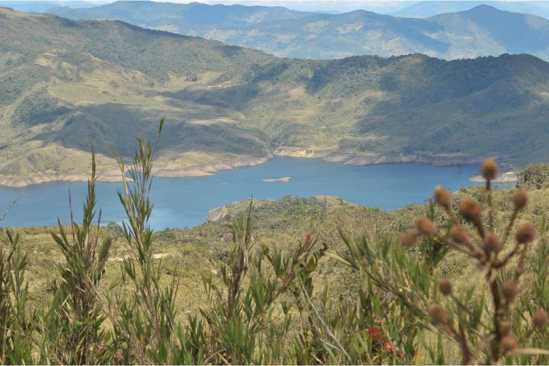 Laguna de Chingaza:
Es la laguna más grande del Parque Nacional Natural Chingaza. Ubicado entre los departamentos de Cundinamarca y Meta. Tiene más de 383 especies de plantas y se estima que la flora está compuesta por más de 2.000 especies.